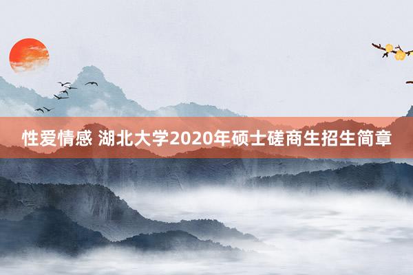 性爱情感 湖北大学2020年硕士磋商生招生简章