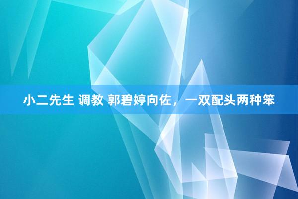 小二先生 调教 郭碧婷向佐，一双配头两种笨