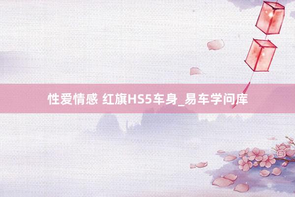 性爱情感 红旗HS5车身_易车学问库