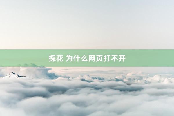 探花 为什么网页打不开