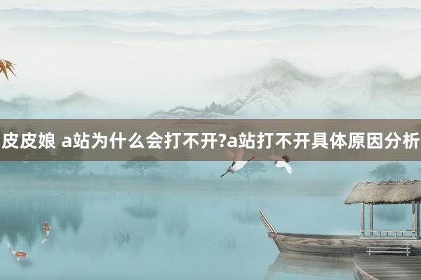 皮皮娘 a站为什么会打不开?a站打不开具体原因分析