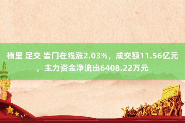 楠里 足交 皆门在线涨2.03%，成交额11.56亿元，主力资金净流出6408.22万元