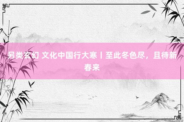 另类玄幻 文化中国行大寒丨至此冬色尽，且待新春来