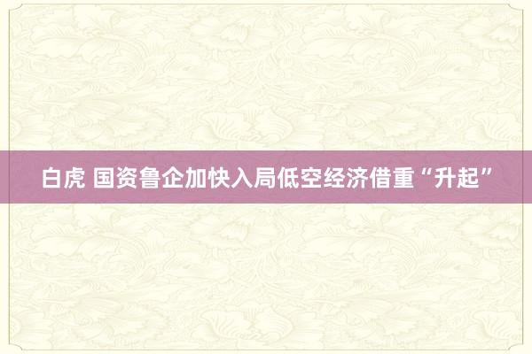白虎 国资鲁企加快入局　低空经济借重“升起”