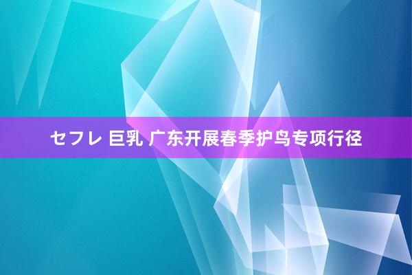 セフレ 巨乳 广东开展春季护鸟专项行径