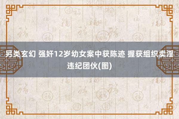 另类玄幻 强奸12岁幼女案中获陈迹 握获组织卖淫违纪团伙(图)