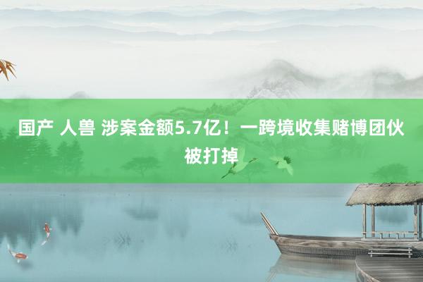 国产 人兽 涉案金额5.7亿！一跨境收集赌博团伙被打掉