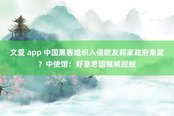 文爱 app 中国黑客组织入侵欧友邦家政府集聚？中使馆：好意思国贼喊捉贼