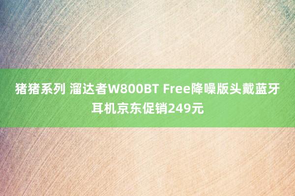 猪猪系列 溜达者W800BT Free降噪版头戴蓝牙耳机京东促销249元