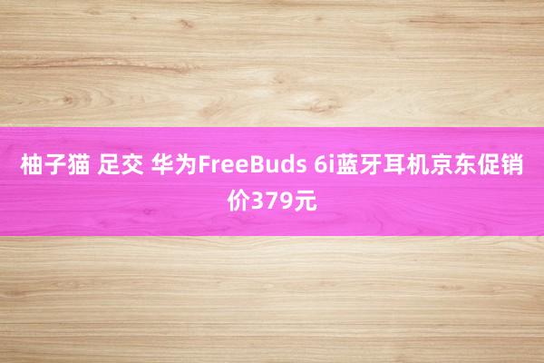 柚子猫 足交 华为FreeBuds 6i蓝牙耳机京东促销价379元