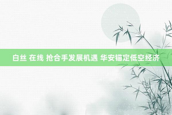 白丝 在线 抢合手发展机遇 华安锚定低空经济