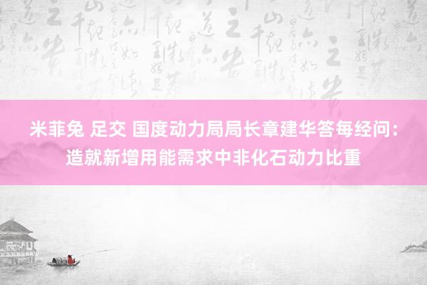 米菲兔 足交 国度动力局局长章建华答每经问：造就新增用能需求中非化石动力比重