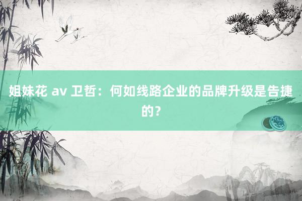 姐妹花 av 卫哲：何如线路企业的品牌升级是告捷的？