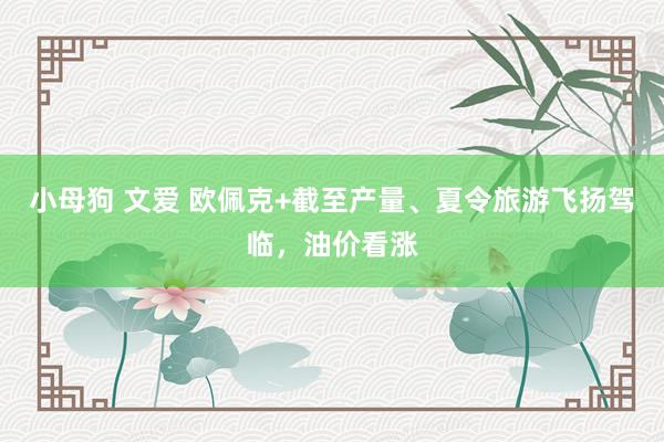 小母狗 文爱 欧佩克+截至产量、夏令旅游飞扬驾临，油价看涨