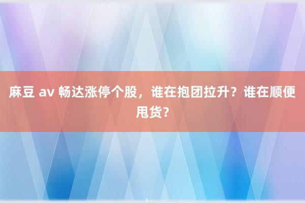 麻豆 av 畅达涨停个股，谁在抱团拉升？谁在顺便甩货？