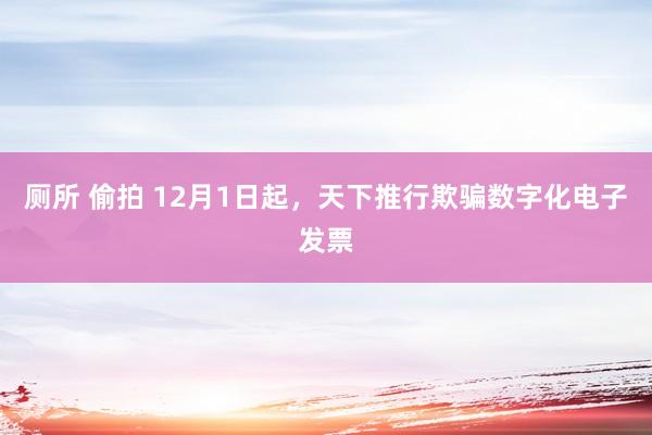 厕所 偷拍 12月1日起，天下推行欺骗数字化电子发票