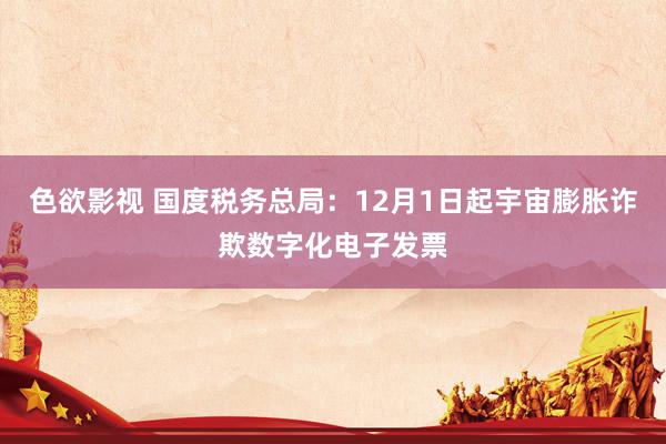 色欲影视 国度税务总局：12月1日起宇宙膨胀诈欺数字化电子发票