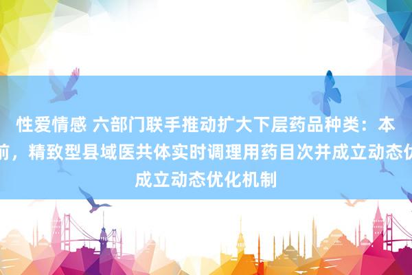 性爱情感 六部门联手推动扩大下层药品种类：本年年底前，精致型县域医共体实时调理用药目次并成立动态优化机制