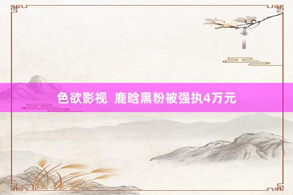 色欲影视  鹿晗黑粉被强执4万元