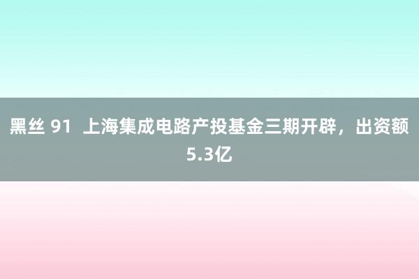 黑丝 91  上海集成电路产投基金三期开辟，出资额5.3亿